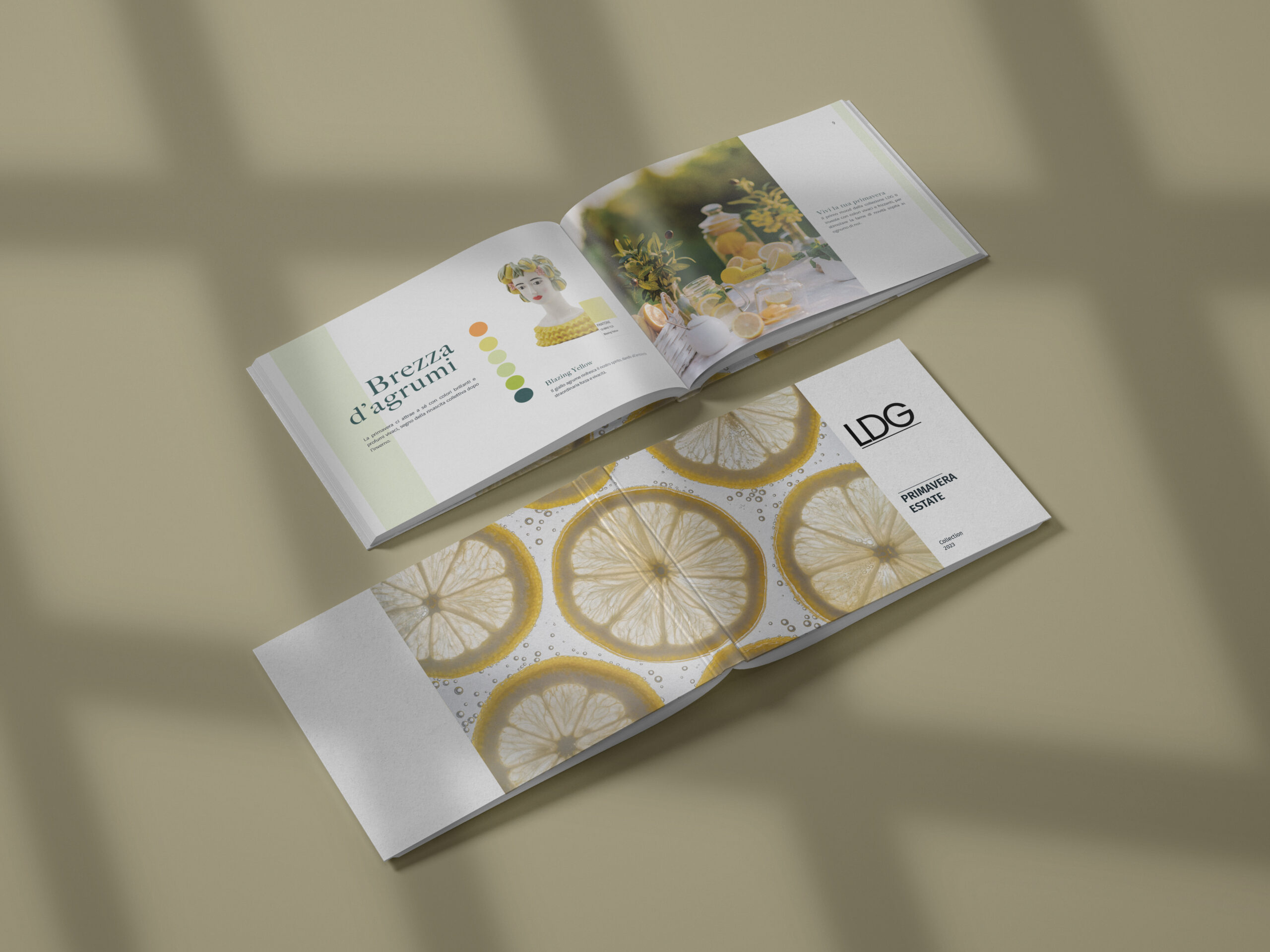 Horizontal-Catalogue-05 copia